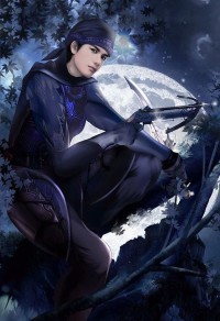 鳳舞將軍